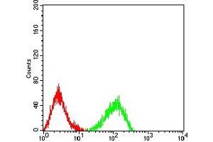 Flow cytometric analysis of HL-60 cells using LRP12 mouse mAb (green) and negative control (red).