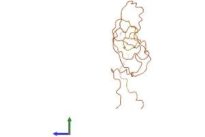 AlphaFold protein structure predicition of Human Recombinant KRTAP5-11 Protein, UniprotID Q6L8G4