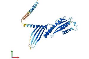 AlphaFold protein structure predicition of Mouse Recombinant Cenpp Protein, UniprotID Q9CZ92