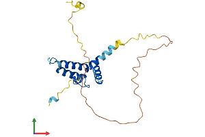 AlphaFold protein structure predicition of Human Recombinant DNAJC12 Protein, UniprotID Q9UKB3
