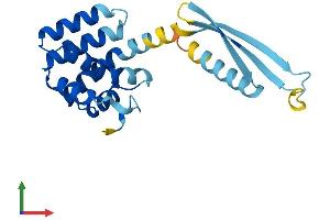 AlphaFold protein structure predicition of Human Recombinant COMMD7 Protein, UniprotID Q86VX2