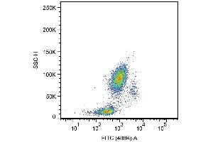 Surface staining of human peripheral blood leukocytes with anti-human CD33 (HIM3-4) FITC.
