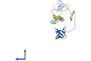 AlphaFold protein structure predicition of Human Recombinant LASP1 Protein, UniprotID Q14847