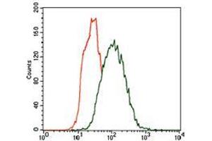 Flow cytometric analysis of Hela cells using CK5 mouse mAb (green) and negative control (red). (Cytokeratin 5 anticorps  (AA 316-590))