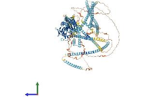AlphaFold protein structure predicition of Mouse Recombinant Kif27 Protein, UniprotID Q7M6Z4