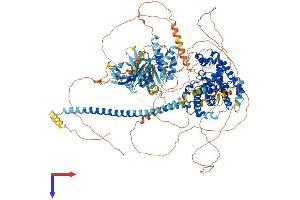 AlphaFold protein structure predicition of Mouse Recombinant Tbc1d4 Protein, UniprotID Q8BYJ6