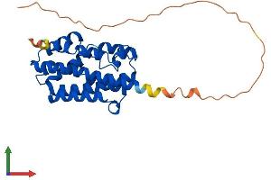 AlphaFold protein structure predicition of Mouse Recombinant Hmox1 Protein, UniprotID P14901