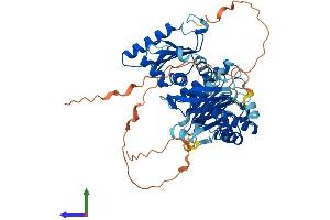 AlphaFold protein structure predicition of Mouse Recombinant Mon1b Protein, UniprotID Q8BMQ8