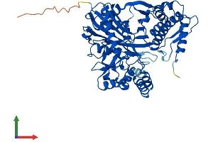 AlphaFold protein structure predicition of Human Recombinant GK5 Protein, UniprotID Q6ZS86