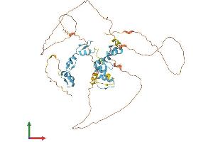 AlphaFold protein structure predicition of Mouse Recombinant Plag1 Protein, UniprotID Q9QYE0