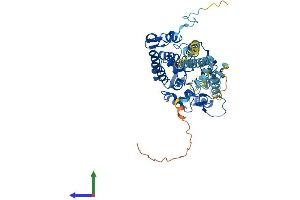 AlphaFold protein structure predicition of Human Recombinant PPP3CC Protein, UniprotID P48454
