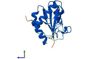 AlphaFold protein structure predicition of Human Recombinant TXNL4A Protein, UniprotID P83876