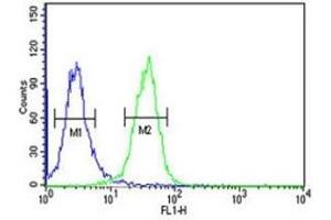 PGP antibody flow cytometric analysis of K562 cells (green) compared to a negative control (blue).