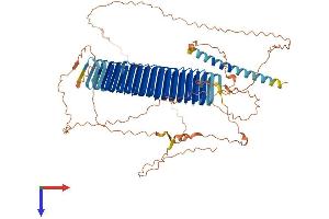 AlphaFold protein structure predicition of Mouse Recombinant Akap5 Protein, UniprotID D3YVF0