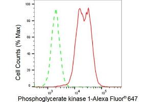 Flow cytometric analysis of Phosphoglycerate kinase 1 expression in HAP-1 cells using Phosphoglycerate kinase 1 antibody (ABIN7799810), 1:2,000).