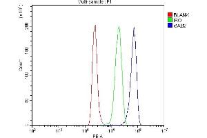 Flow Cytometry analysis of HL-60 cells using anti-GAB2 antibody (ABIN7600208).