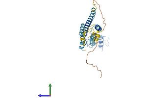 AlphaFold protein structure predicition of Human Recombinant GJB3 Protein, UniprotID O75712
