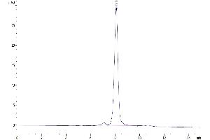 The purity of Biotinylated Human SIRP alpha V6 is greater than 95 % as determined by SEC-HPLC.