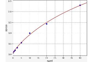 Typical standard curve (LIPG Kit ELISA)