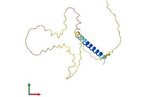 AlphaFold protein structure predicition of Human Recombinant FAM163A Protein, UniprotID Q96GL9