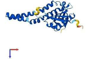 AlphaFold protein structure predicition of Human Recombinant NAT8B Protein, UniprotID Q9UHF3