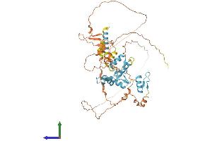AlphaFold protein structure predicition of Human Recombinant ZNF692 Protein, UniprotID Q9BU19