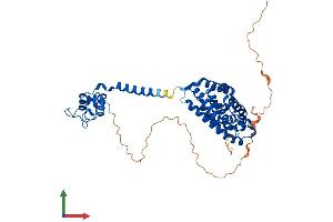 AlphaFold protein structure predicition of Human Recombinant THRB Protein, UniprotID P10828