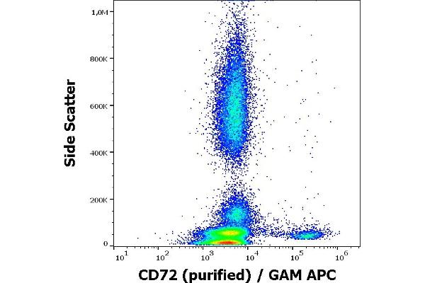 CD72 anticorps