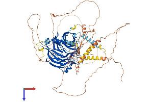 AlphaFold protein structure predicition of Human Recombinant DCAF6 Protein, UniprotID Q58WW2