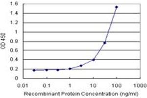 Sandwich ELISA detection sensitivity ranging from 1 ng/mL to 100 ng/mL. (SEPT1 (Humain) Matched Antibody Pair)