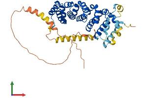 AlphaFold protein structure predicition of Human Recombinant ARMCX3 Protein, UniprotID Q9UH62