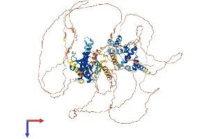 AlphaFold protein structure predicition of Mouse Recombinant Psd3 Protein, UniprotID Q2PFD7