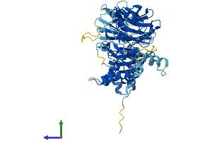 AlphaFold protein structure predicition of Mouse Recombinant Det1 Protein, UniprotID Q9D0A0