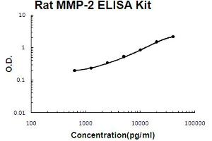 Rat MMP-2 Accusignal ELISA Kit Rat MMP-2 AccuSignal ELISA Kit standard curve.