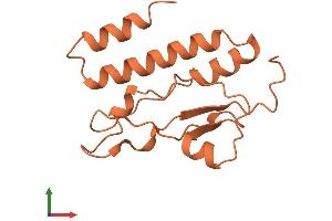 AlphaFold protein structure predicition of Human Recombinant MDS2 Protein, UniprotID Q8NDY4