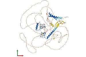 AlphaFold protein structure predicition of Mouse Recombinant Lin54 Protein, UniprotID Q571G4