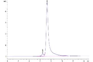 The purity of Human LY75 is greater than 95 % as determined by SEC-HPLC.