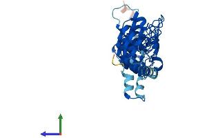 AlphaFold protein structure predicition of Mouse Recombinant Asb7 Protein, UniprotID Q91ZU0