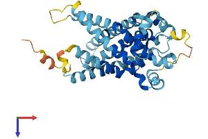 AlphaFold protein structure predicition of Human Recombinant SLC25A27 Protein, UniprotID O95847