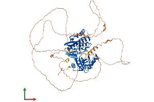AlphaFold protein structure predicition of Mouse Recombinant Haspin Protein, UniprotID Q9Z0R0
