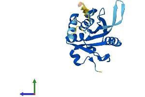AlphaFold protein structure predicition of Mouse Recombinant Josd2 Protein, UniprotID Q9CR30