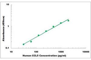 Representative Standard Curve (CCL5 Kit ELISA)