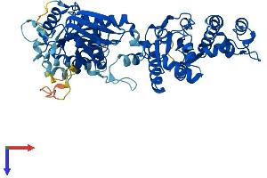 AlphaFold protein structure predicition of Mouse Recombinant Coasy Protein, UniprotID Q9DBL7