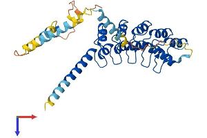 AlphaFold protein structure predicition of Mouse Recombinant Ankrd1 Protein, UniprotID Q9CR42