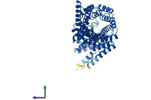 AlphaFold protein structure predicition of Human Recombinant IFIT1 Protein, UniprotID P09914