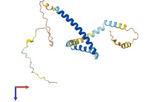 AlphaFold protein structure predicition of Mouse Recombinant Tpd52 Protein, UniprotID Q62393