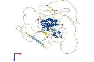 AlphaFold protein structure predicition of Human Recombinant AR Protein, UniprotID P10275