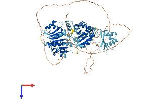 AlphaFold protein structure predicition of Human Recombinant DDX50 Protein, UniprotID Q9BQ39