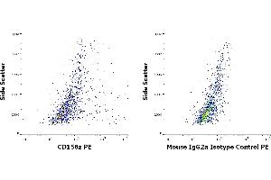 Flow cytometry surface staining patterns of KIR3DL3 (CD158z) transfected HEK-293 suspension stained using anti-human CD158z (CH21) PE antibody (concentration in sample 5 μg/mL, left) or mouse IgG2a isotype control (MOPC-173) PE antibody (concentration in sample 5 μg/mL, same as CD158z PE concentration, right).