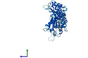 AlphaFold protein structure predicition of Mouse Recombinant Babam2 Protein, UniprotID Q8K3W0